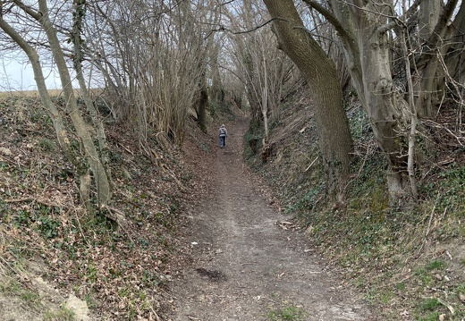 20220325074002-f0b31c7d